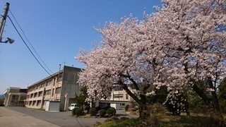 中学校　弘前市立第二中学校（中学校）まで2454m