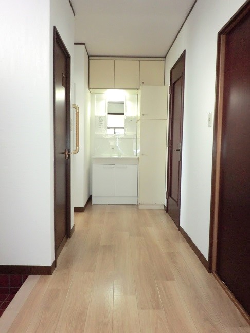 その他部屋・スペース　廊下の突き当りにシャンプードレッサー　収納部分多し