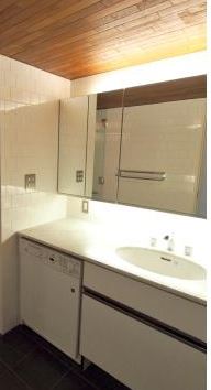 洗面設備　参考写真