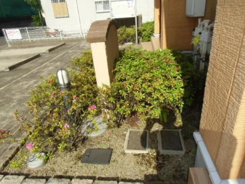 庭　庭（イメージ）