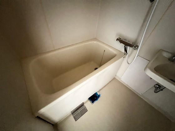 バス・シャワールーム　※別部屋の写真です