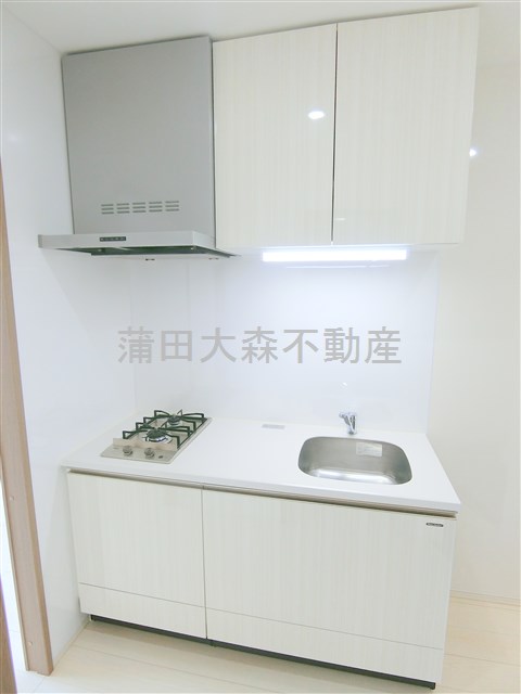 キッチン　2口ガスシステムキッチン