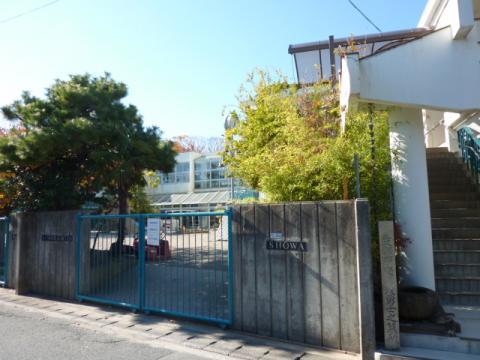 幼稚園・保育園　昭和幼稚園（幼稚園・保育園）まで369m