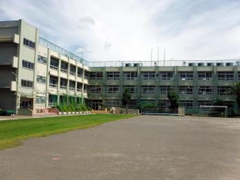 小学校　葛飾区立木根川小学校（小学校）まで1176m