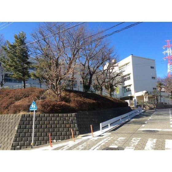 小学校　横浜市立柏尾小学校（小学校）まで1478m