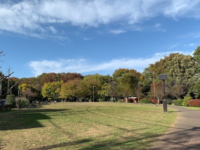 公園　井の頭公園　三角広場（公園）まで650m