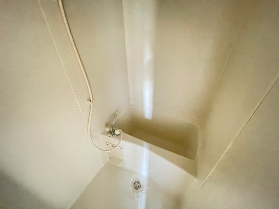 バス・シャワールーム　※別部屋の写真です