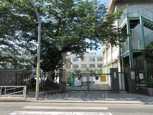 小学校　北区立滝野川第四小学校（小学校）まで402m