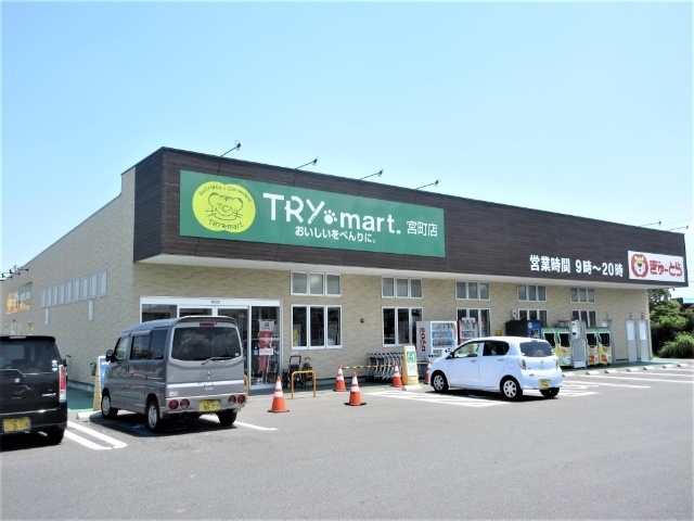 スーパー　ぎゅーとらＴＲＹ　ｍａｒｔ．宮町店（スーパー）まで732m
