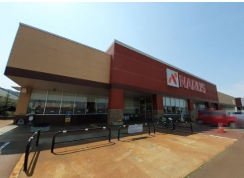 スーパー　NARUS(ナルス) 南高田店（スーパー）まで1038m