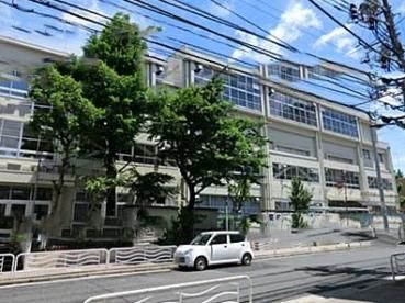 小学校　江東区立八名川小学校（小学校）まで291m