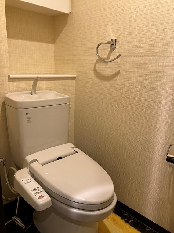トイレ　トイレも気になるポイント