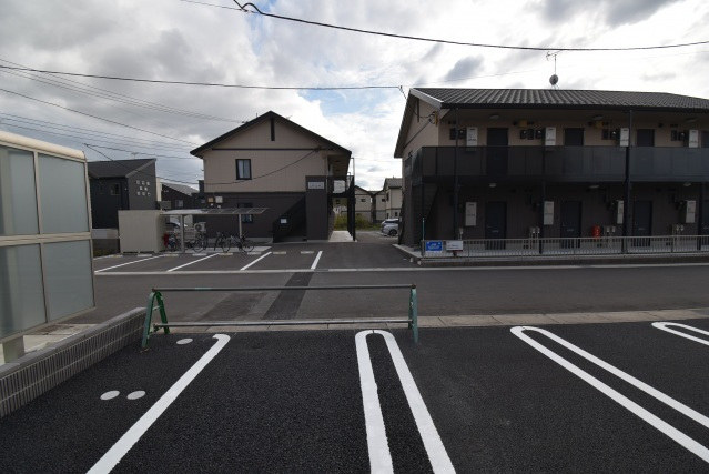 ヴィオラのその他写真