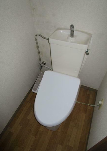トイレ　岩澤フラッツ