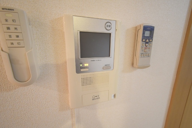エヴァーグリーンNのその他写真