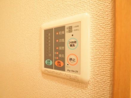 エヴァーグリーンNのその他写真
