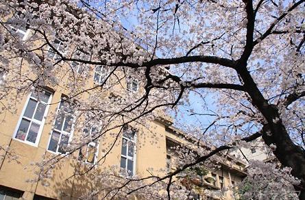 小学校　高倉小学校（小学校）まで650m