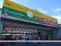 その他　ジャパン針中野店（その他）まで365m