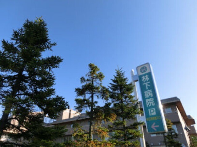 病院　医療法人社団林下病院（病院）まで1284m