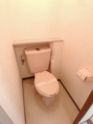 【リッチマンションのトイレ】