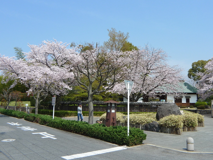 公園　花田苑（公園）まで113m