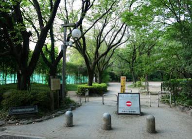 公園　駒場野公園（公園）まで343m
