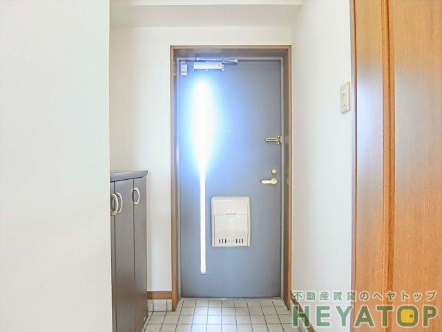 玄関　シューズボックス付き玄関