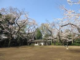 公園　上野毛自然公園（公園）まで532m
