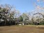 公園　上野毛自然公園（公園）まで532m