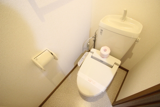トイレ　※別号室の写真です