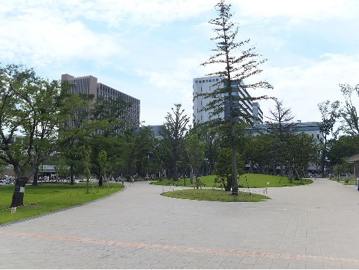 公園　中野区立中野四季の森公園（公園）まで515m