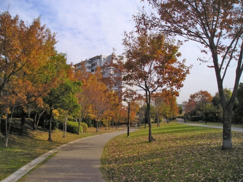 公園　港北ニュータウン緑地1号（公園）まで447m