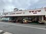 スーパー　ヤマイチ北葛西店（スーパー）まで446m