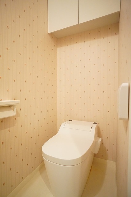 日吉7丁目テラスハウスのトイレ写真