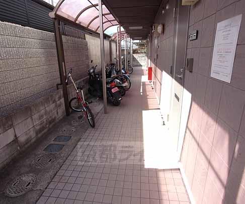 【京田辺市草内東垣内のアパートのエントランス】