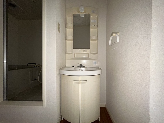 洗面設備　※別号室のお写真です