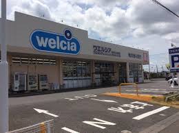 ドラックストア　ウエルシア荒川本郷店（ドラッグストア）まで551m