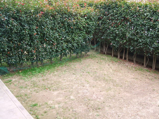 バルコニー　バルコニー付きです