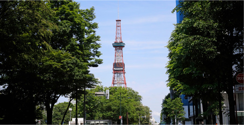 その他　※大通公園（６００ｍ）