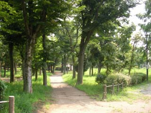公園　小柳公園（公園）まで900m