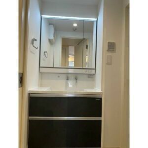 洗面設備　別タイプ部屋　参考写真です