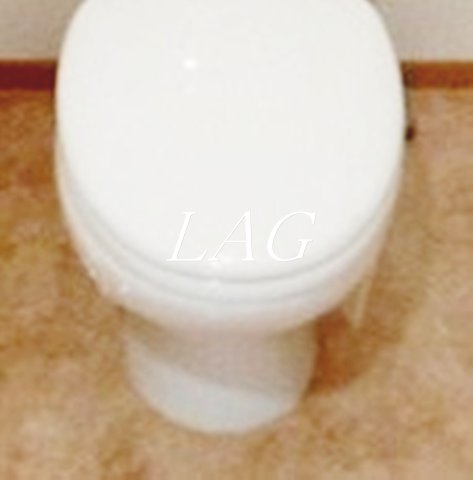 トイレ　トイレです。（同仕様です。）