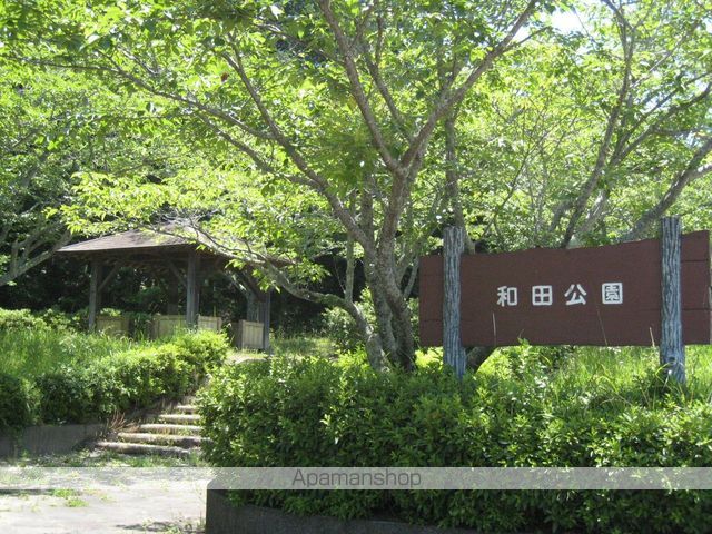 Limpia Graceの周辺写真