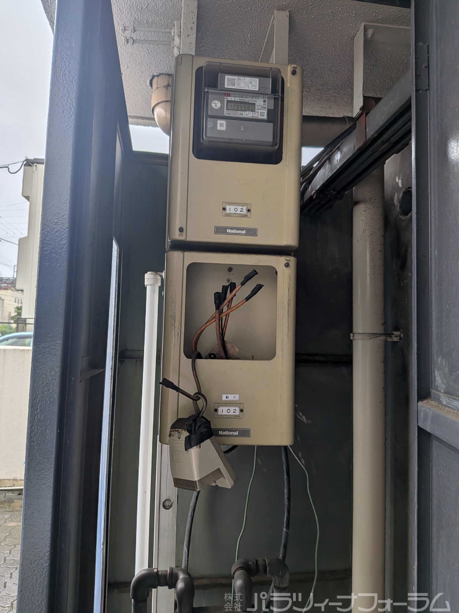 パラツィーナ立花のその他写真