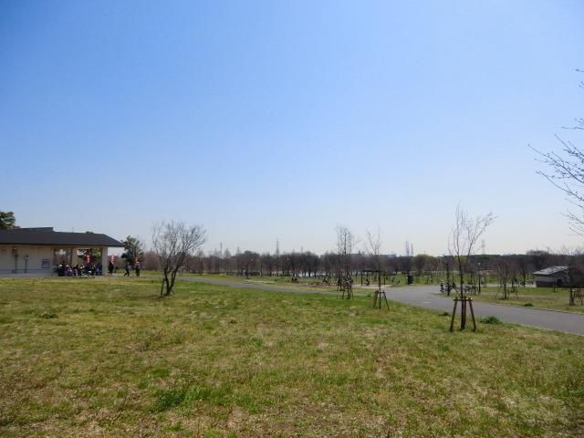 公園　舎人公園（公園）まで500m