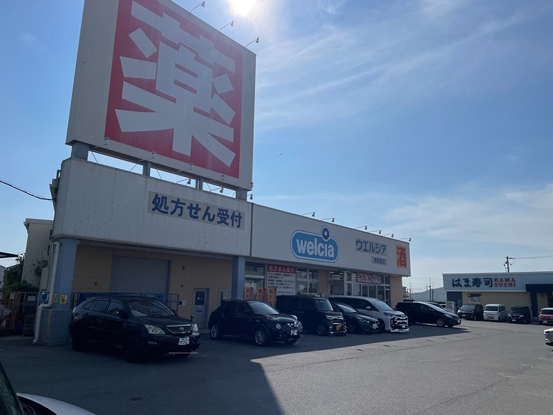 ドラックストア　ウェルシア堺草尾店（ドラッグストア）まで384m