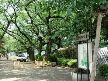 公園　羽根木小緑地（公園）まで370m