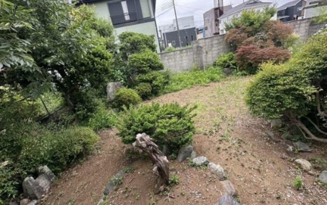 庭