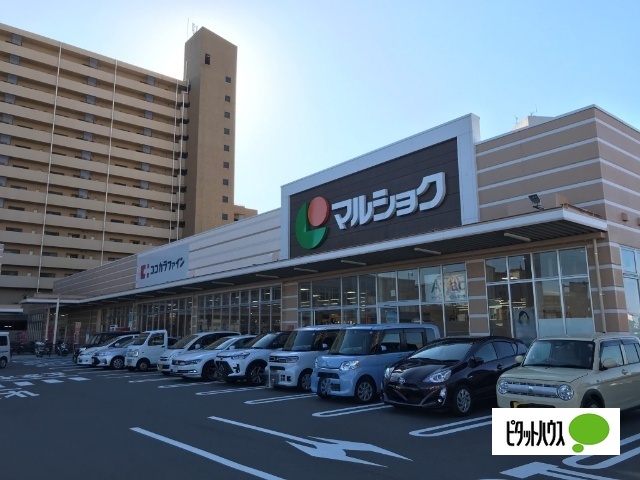 スーパー　マルショク東駅店（スーパー）まで352m