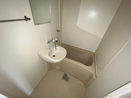 バス・シャワールーム　※別部屋の写真です